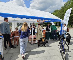 Festiwal Przyjaciół Zwierząt w Olsztynie. Park Centralny opanowały radosne pieski