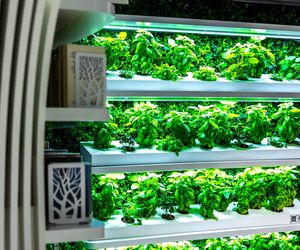 Metroteka – biblioteka na stacji metra M2 Kondratowicza w Warszawie