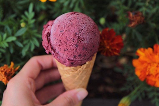 Najdziwniejsze smaki lodów w Warszawie! Nie uwierzycie, że naprawdę można je dostać [GALERIA]