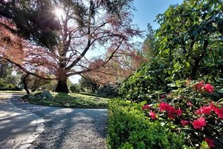 Arboretum Wojsławice. Kiedy jechać do ogrodu botanicznego pod Wrocławiem? Zdjęcia, mapa, dojazd, bilety, godziny otwarcia