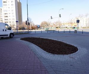 Potworki ursynowskie robią furorę w sieci. Mieszkańcy dzielnicy podzieleni. „Kto na to pozwalał”
