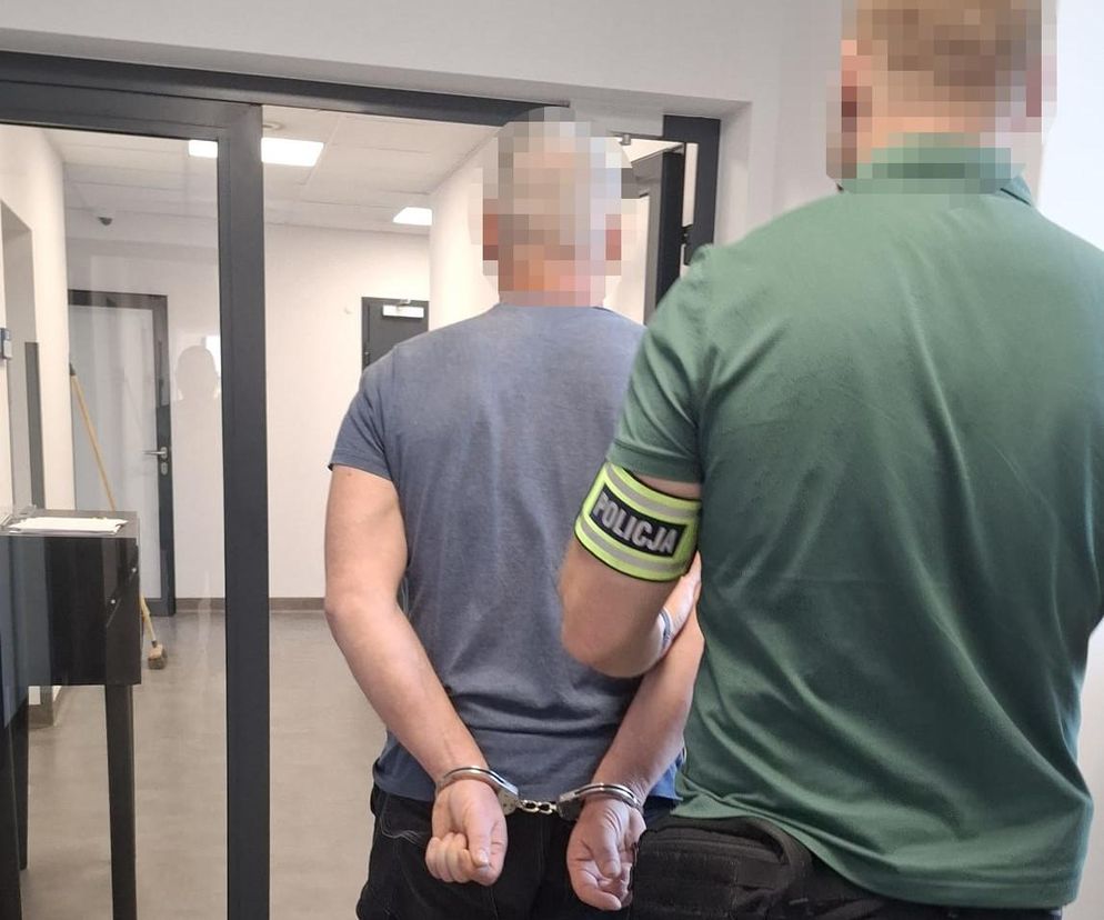 Szok w Otwocku. Staranował samochodem stado dzików, grozi mu więzienie! Jedno zwierzę nie przeżyło