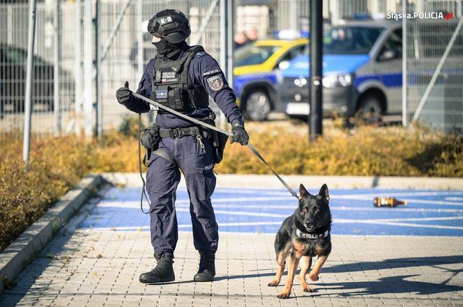 Te psy to superbohaterowie. Pełnią służbę w Policji Śląskiej i są elitą w całej Polsce 