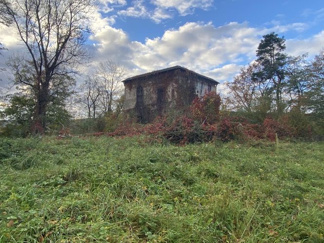 Zamek w Dąbrówce Starzeńskiej