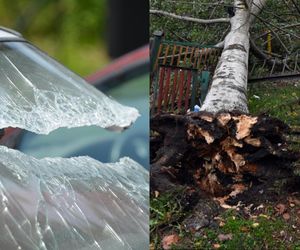 Wichura zmiotła drzewo na samochód. Ojciec i córka poszkodowani
