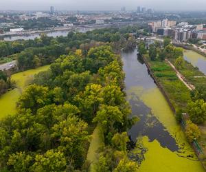 Port Praski - widok z drona, wrzesień 2024