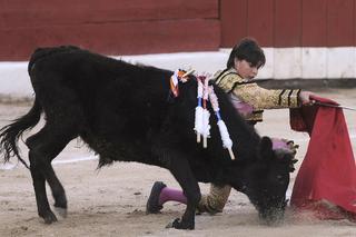 Michelito torreador z Meksyku 