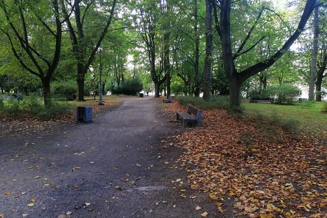 Park Centralny