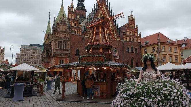 Jarmark Świętojański już działa! Zobacz, jak wygląda teraz wrocławski Rynek