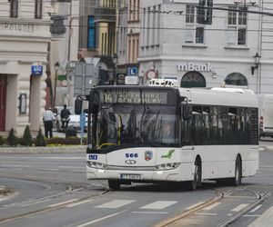 Więcej autobusów i tramwajów na ulicach Torunia