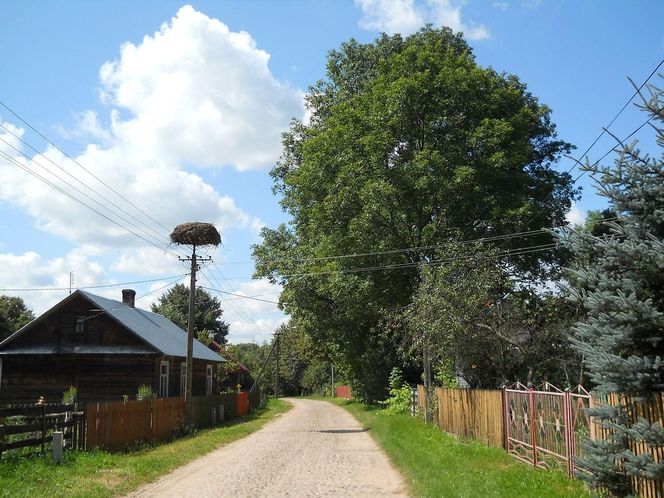 Puchły w woj. podlaskim