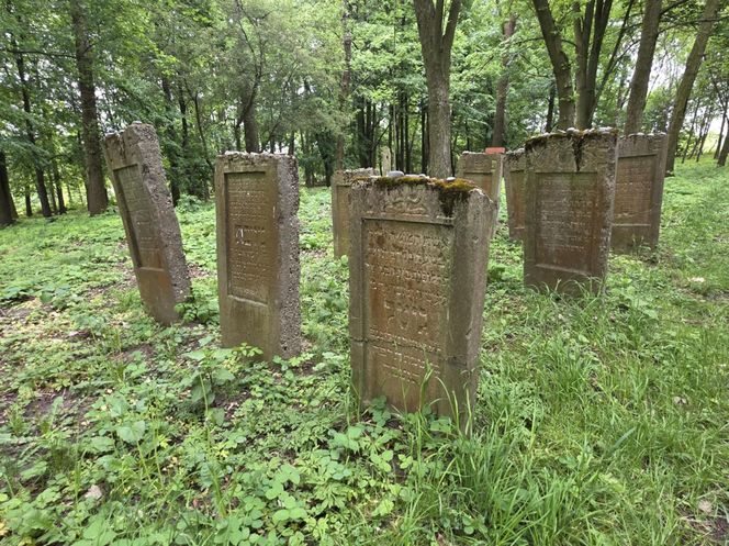 Cmentarz żydowski w Leżajsku