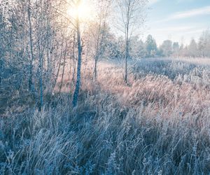 Potężny mróz skuł Polskę. Nawet -27 stopni. Prognozy są bardzo groźne