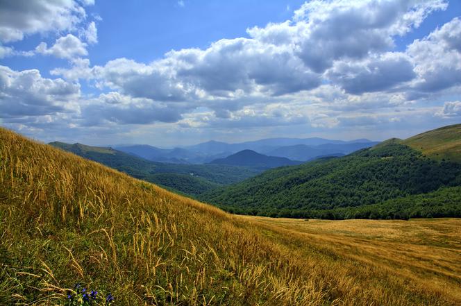 Bieszczady, Tarnica