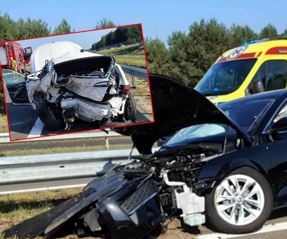 Jeżowe. Śmiertelny wypadek na S-19. Nie żyją kobieta i mężczyzna ze skody [ZDJĘCIA]