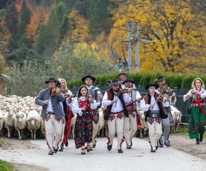 Szczawnica i Krościenko