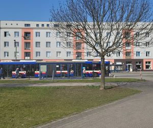 Historia wśród drzew! Tak żyje się na osiedlu Leśnym w Bydgoszczy