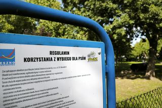 Wybieg dla psów przy Ćwiczni w Lesznie