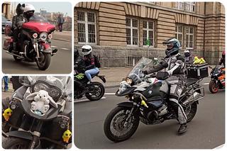 Moto Zające i Kurczaki niosą pomoc na Wielkanoc. Dziesiątki motocyklistów na ulicach Szczecina [ZDJĘCIA, WIDEO]