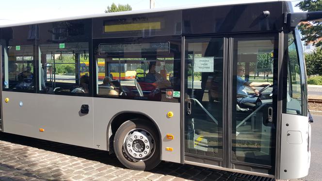 Pierwszy kurs autobusu przegubowego w Grudziądzu