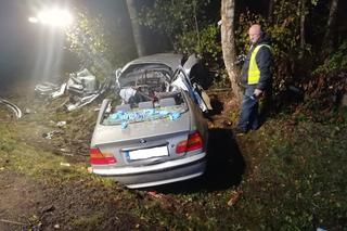 Tragiczny wypadek. BMW roztrzaskało się na drzewie