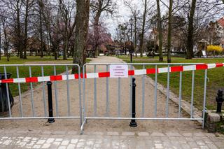 Dostali mandat za siedzenie w aucie 