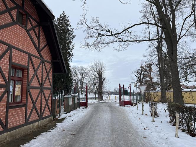 Pałac Slatiňany niedaleko Pardubic - zdjęcia. Święta 100 lat temu i zabytkowa stadnina koni