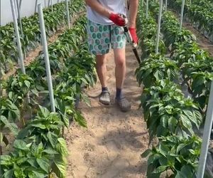 Nowa dziewczyna Rafała Gajdy to prawdziwa piękność! Rolnik zabrał ją na Bahamy