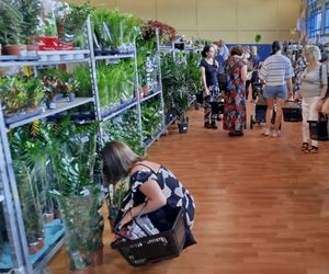 Festiwal Roślin 2025 w Siedlcach