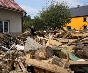 Burmistrz wyjechała na drogie wakacje, w tym czasie jej miasteczko zalała wielka fala. Nie wrócę