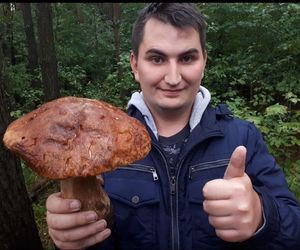 Wysyp grzybów w Polsce. Łodzianin znalazł w łódzkim lesie ponad kilogramowego borowika!