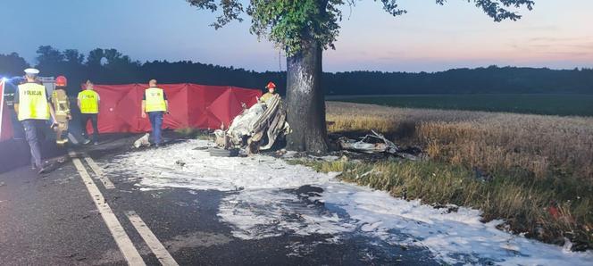 Auto uderzyło w drzewo i stanęło w płomieniach! Kierowca nie miał szans 