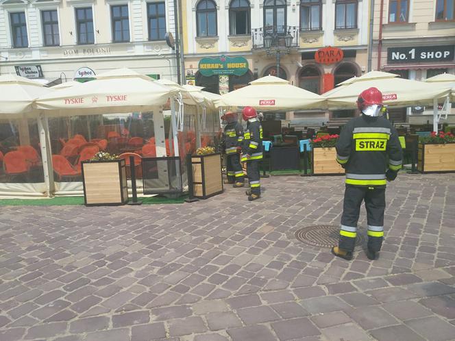 Rój pszczół na Rynku w Rzeszowie