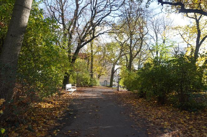 Park Wilsona jesienią