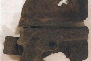 Zabytki odkopane w Lesie Chojnowskim