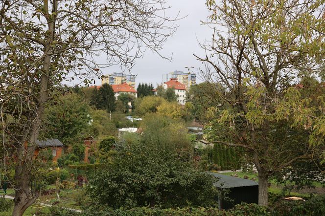 Jesienna odsłona terenów nad Bystrzycą w Lublinie. Tak się prezentuje w październiku