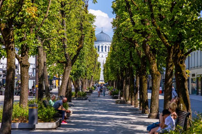 Kowno. Co zwiedzić w litewskim mieście Mickiewicza i architektury z listy UNESCO?