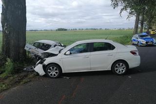 Wypadek w gminie Płośnica