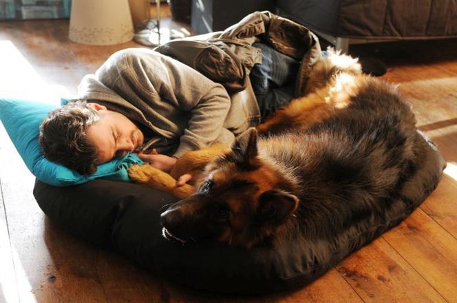 KOMISARZ ALEX 3 sezon. Antoni PAWLICKI do roli Michała ORLICZA trenował sztuki walki. NASTĘPCA BROMSKIEGO jak komandos