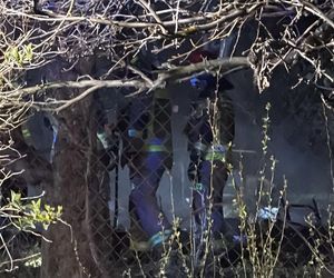 Tragedia na terenie ogródków działkowych. Altanka stanęła w ogniu. W srodku znaleźli zwęglone ciało