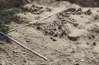 Archeolodzy odkryli ludzkie szczątki!