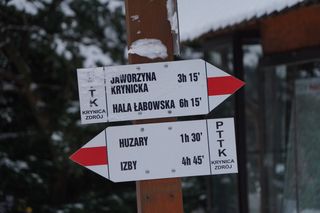 Przybywa turystów, ubywa mieszkańców. Nietypowy problem małopolskiego miasta