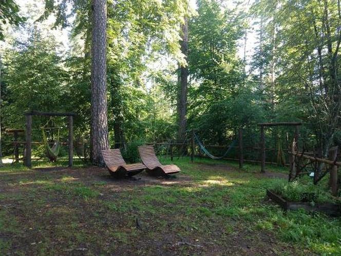 Leśne Arboretum w Kudypach. Jedno z piękniejszych miejsc na Warmii [ZDJĘCIA]