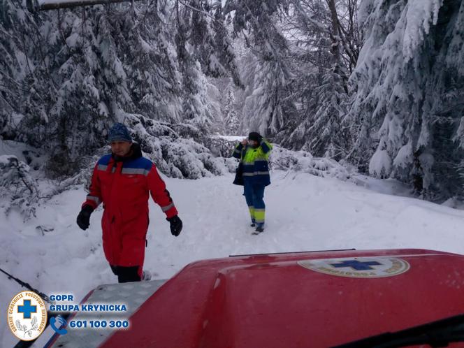 Beskid Sądecki. Przez powalone drzewa dzieci utknęły w schronisku górskim. GOPR ewakuował młodych sportowców