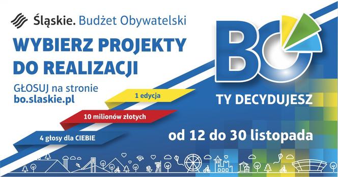 Śląskie: 10 MILIONÓW do rozdania. Trwa głosowanie w Budżecie Obywatelskim