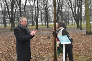 Powstańcy zapuścili korzenie. 20 drzew dla bohaterów w parku na Woli
