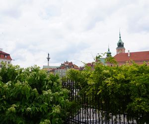 Ukryty ogród w Warszawie