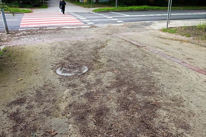 Usterki na Alei Fałata