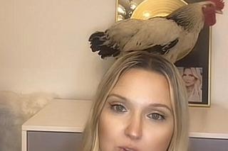 Gosia Andrzejewicz wystąpiła na kamerkach z żywym kogutem!