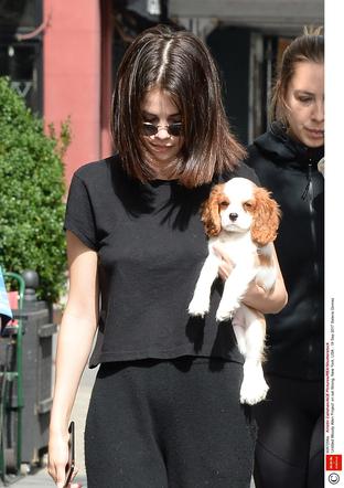Selena Gomez ze szczeniakiem